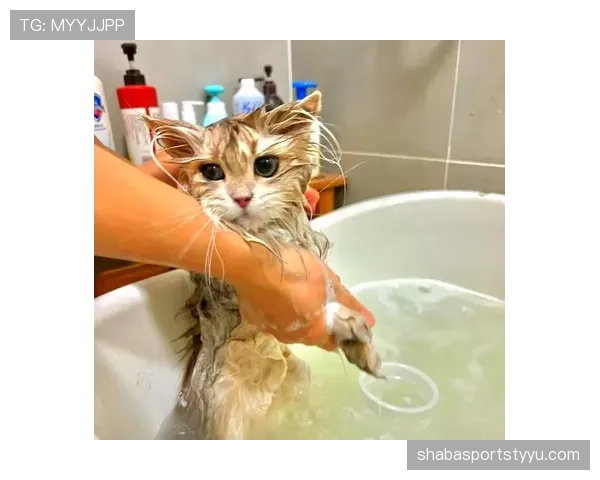 掌敏洁那生活简直两极分化，一边训练像疯子一边回家变猫奴？