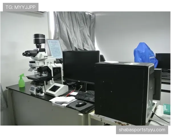 萨卡稳定性是否被夸大？强强对话表现与数据反差分析