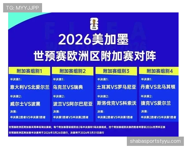 波黑冲击2026世界杯阵容预测：核心球员能否带队突围